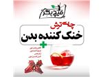 دمنوش کیسه ای چای ترش فیچ بگر