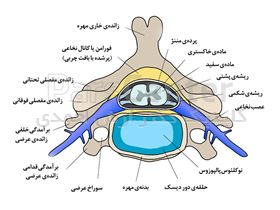 ساختار دیسک