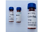 ماده cytochalasin b   1 mgr