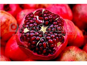 درخت انار،نهال انار رباب نی ریز،درخت انار، درسال 1402 Pomegranate