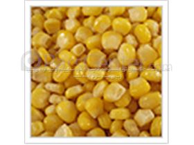 ذرت شیرین منجمد (Frozen Sweet Corn ) آریازر