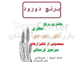 برنج دورود