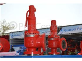 Safety Relief Valve