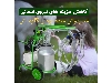 گاومیش دوش (شیردوش گاومیش)