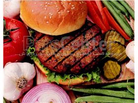 organic burger - برگر ارگانیک شیدانا