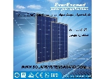 پنل خورشیدی 100وات EverExceed