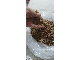توتون رشته ایی مخصوص سیگار