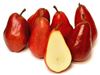درخت گلابی قرمز آنجو#Red Anjou Pear