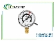 پرشر سوئیچ گیج WIKA PGS11 رنج 0 تا 400 بار مخصوص CO2