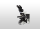 تعمیر میکروسکوپ بالینی BX43 کمپانی Olympus ژاپن