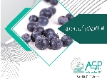 طعم دهنده بلوبری طعم دهنده تمشک شاه توت اسانس توت سفید و سیاه اسانس توت فرنگی پودری و مایع