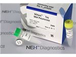 NEXpro™ e Taq DNA Polymerase with Buffer, dNTPs