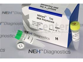 NEXpro™ e Taq DNA Polymerase with Buffer, dNTPs