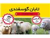 مکمل تابان گوسفندی 5 کیلویی