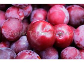 Red Plum Puree (Aseptic)