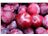 Red Plum Puree (Aseptic)