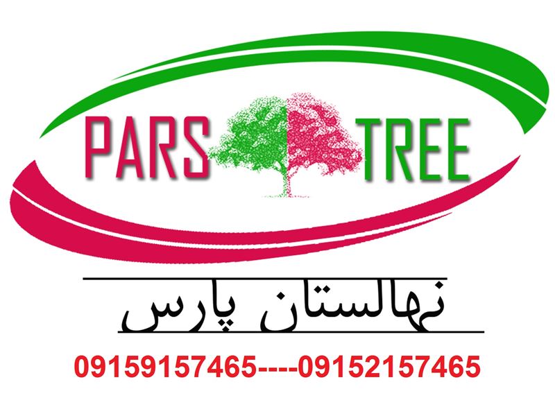 Nursery Pars | shop seedlings | fruit tree | seed flats, pharmaceutical
