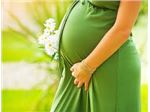prenatal care  In practice midwifery and women Sarreyh Izadi