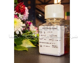 Fetal Bovine Serum (FBS)