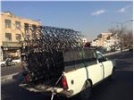 حفاظ بوته خاری مشکی مدل 120*50