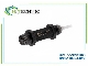 سنسور نوری BALLUFF مدل BOS 18KF-PA1PE-C-02 | سنسور فتوالکتریک Diffuse M18 با خروجی PNP و برد 700mm