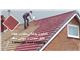 camelion coating