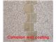 camelion coating