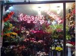 گل فروشی پارمیدا