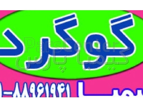 تامین‌ کننده گوگرد گرانول، کلوخه و پودری
