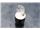 انواع لامپهای زنونXENON TUBE