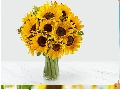 همراه همیشگی تماشای فیلم