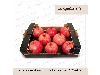 کارتن انار صادراتی ، تولید لیبل انار
