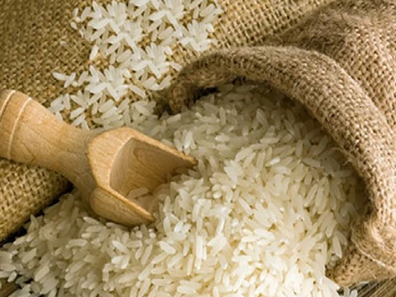تولید,عرضه و تامین عمده انواع برنج, برنج هاشمی و برنج صدری,سبوس برنج- مجموعه بزرگ وستا