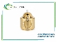 اکچویتور دستی ROTAREX B04420100 فشار 300 بار | عملگر دستی سیستم اطفای حریق