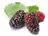 TTMFOOD Blackberry Juice Concentrate