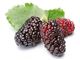 Blackberry Juice Concentrate