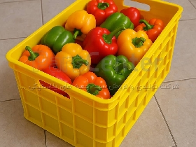 سورتینگ فلفل سبد 40 کیلویی