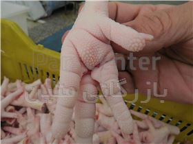 صادرات  پای مرغ ایران  بازرگانی اریا   chicken Feet Center  Iran Market    鸡爪中心伊朗市场