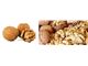 درخت گردو رقم وینا- سال 1402 Vina Walnuts