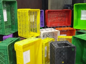 تولید و فروش انواع سبد های پلاستیکی