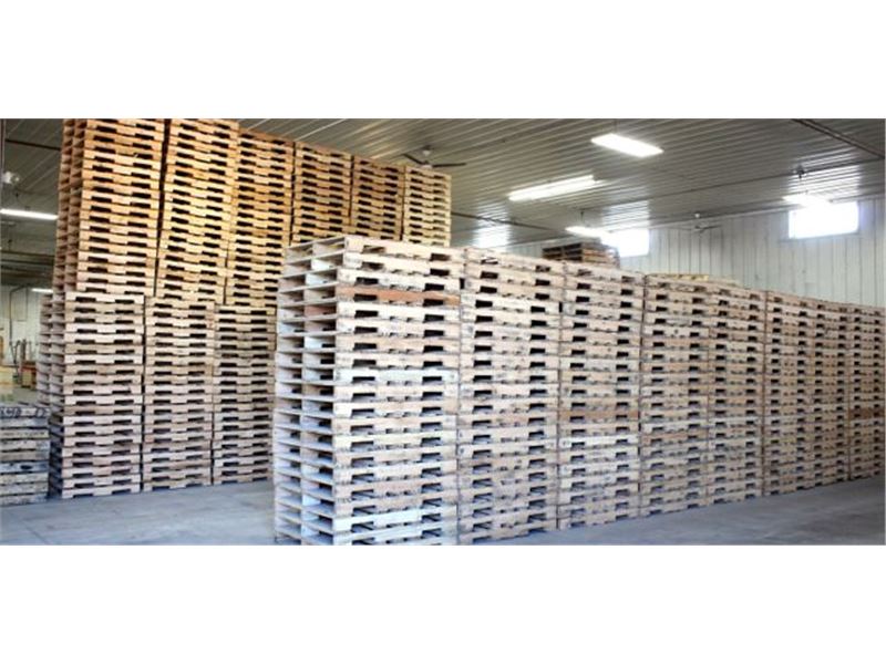 صنایع چوب هگمتانه تولید کننده انواع پالت چوبی
