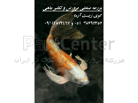 عرضه انواع ماهی کوی صادراتی در ایران