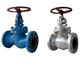 گلوب ولو , شیر سوزنی  GLOBE VALVE