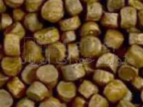 تولید کننده انواع خوراک ماهیان کپور ، قزل آلا و خاویاری