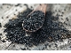 Black Cumin