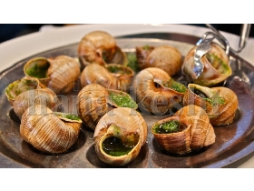 Edible Caspian snail