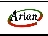 آرین گستر اسیا