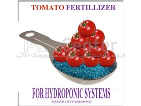 کود هیدروپونیک گوجه فرنگی