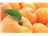 Aseptic Apricot Puree