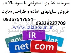 سرمایه گذاری با سود بالا در شغل پرسود اینترنتی